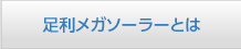 足利メガソーラーとは