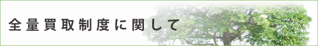 全量買取制度に関して